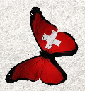Schmetterling17
