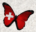 Schmetterling22