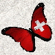 Schmetterling16