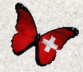 Schmetterling11