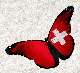 Schmetterling35