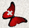Schmetterling23